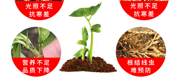 微生物菌劑-一袋菌官-安得泰 微生物菌劑-一袋菌官-安得泰