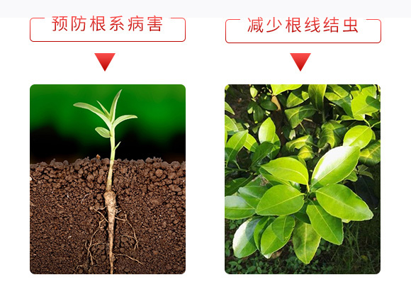 微生物菌劑-一袋菌官-安得泰 微生物菌劑-一袋菌官-安得泰