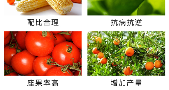 50kg復(fù)合肥料25-14-6-土蜘蛛-根力寶