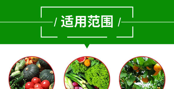 50kg復(fù)合肥料25-14-6-土蜘蛛-根力寶
