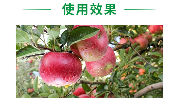 吡蟲(chóng)啉-順堯農(nóng)業(yè) 吡蟲(chóng)啉-順堯農(nóng)業(yè)