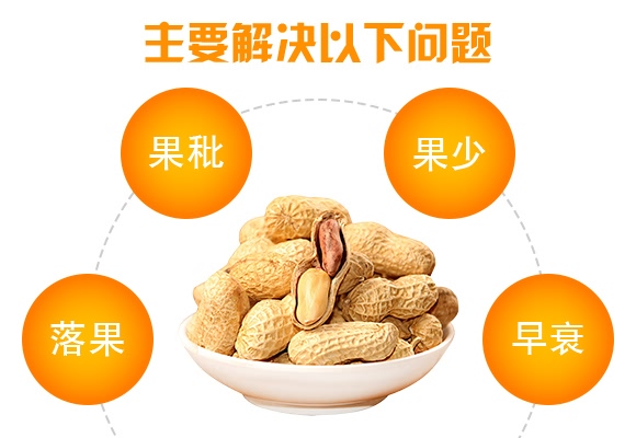 高硼高鉬型花生粒多飽-花多收-三禾肥業(yè) 高硼高鉬型花生粒多飽-花多收-三禾肥業(yè)