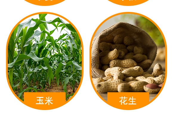 500g礦源黃腐酸鉀-云臺大化 500g礦源黃腐酸鉀-云臺大化