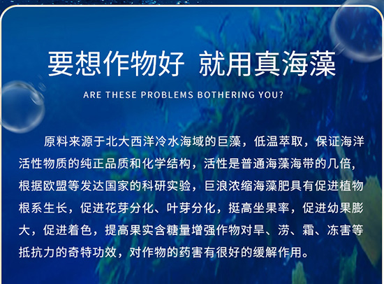 9嫻瘋椈綺綺06.jpg