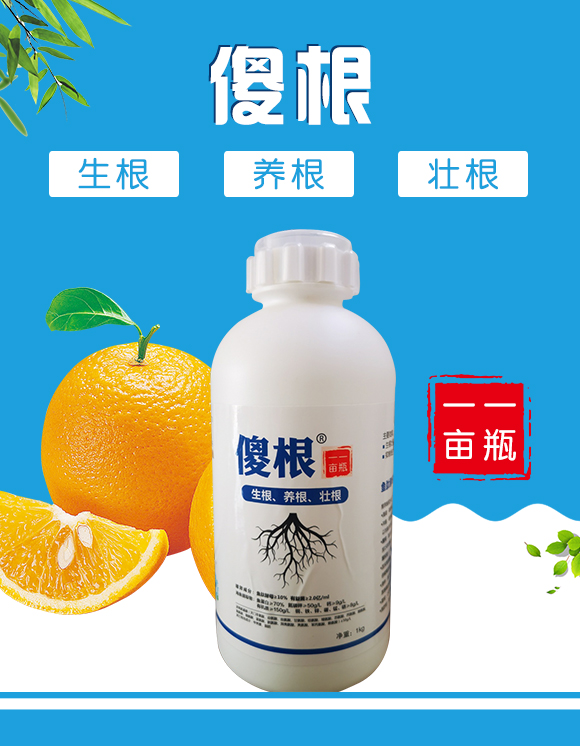 瀵垮厜甯傜敓鎬佽偉鏂欑鎶€涓績-鐢熸牴鍓?鍌繪牴_01.jpg 瀵垮厜甯傜敓鎬佽偉鏂欑鎶€涓績-鐢熸牴鍓?鍌繪牴_01.jpg