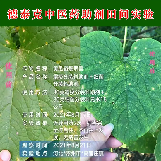 2.jpg 2.jpg
