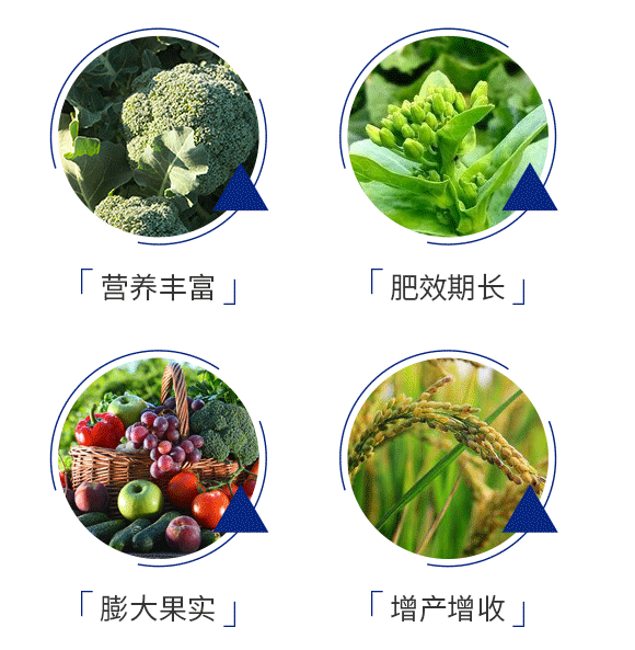 勒䘪?沃易施_05.gif