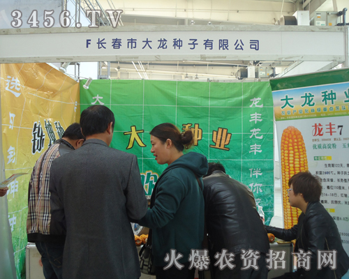 長春市大龍種子