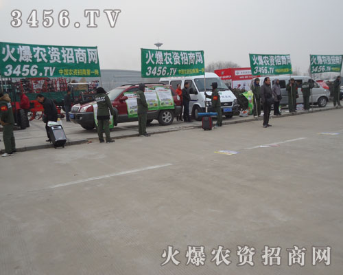 3456.TV҂