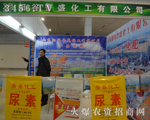 山東陽谷魯盛化工有限公司
