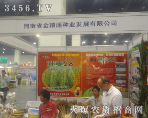 金糧源在2013河南夏季種子會(huì)上活力四射