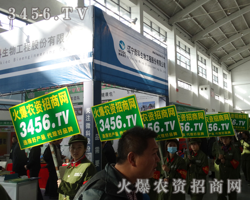 3456.TV(zhn)ʿĈF