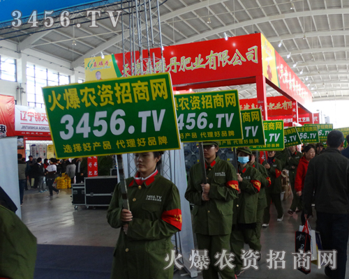 火爆招商,效果強(qiáng)!