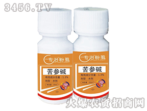 1.3%苦參堿-專治粉虱