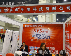 SռF2013ݷNӕϏUʳ