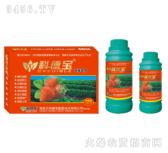ݮàIB(yng)a{턩-Ƶ