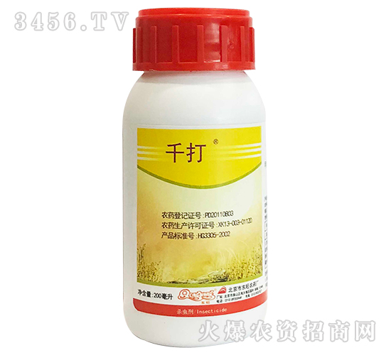 5.3%׾S-ǧ-չi