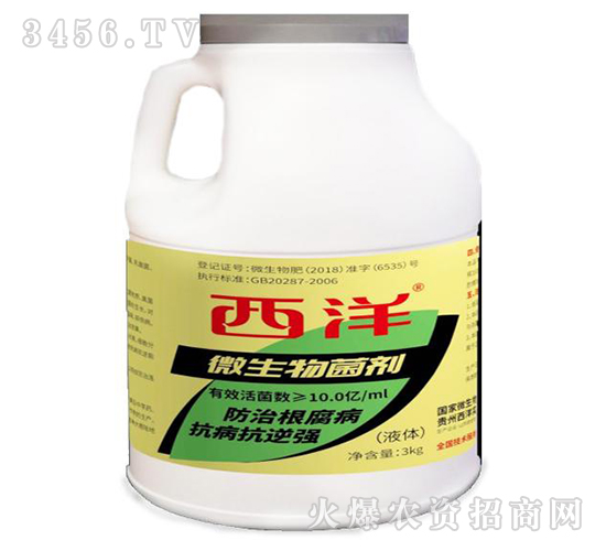 3kg΢--(sh)I(y)