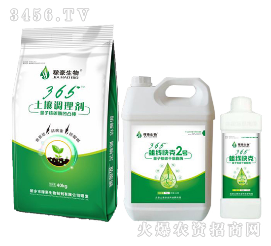 365(xin)3-ں