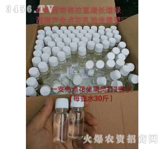 西葫蘆免點花坐果靈-禾圣瑞