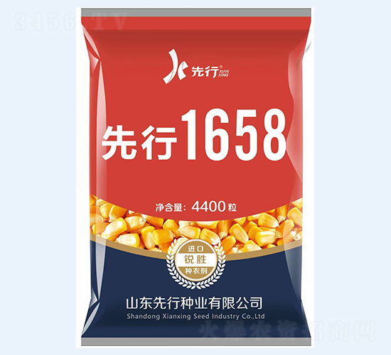 先行1658-玉米種子-金專(zhuān)環(huán)球農(nóng)業(yè)