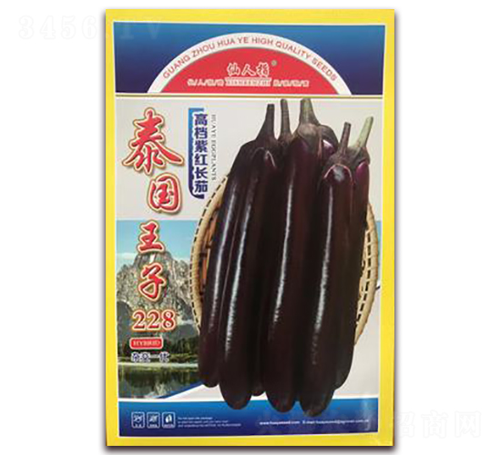 泰國(guó)王子228-茄子種子-華葉