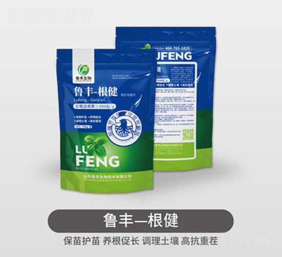 魯豐根健-魯豐肥源地