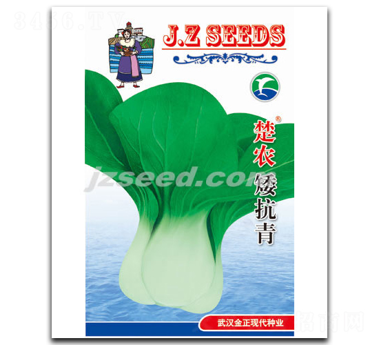 楚農(nóng)矮抗青-小白菜種子-現(xiàn)代種業(yè)