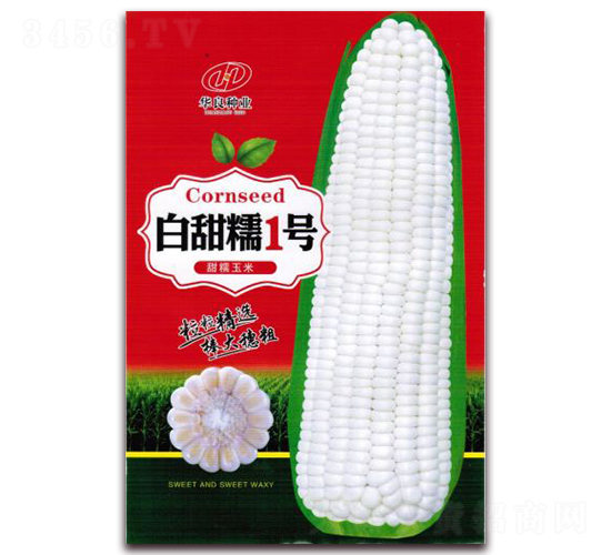白甜糯1號(hào)-糯玉米種子-華良種業(yè)