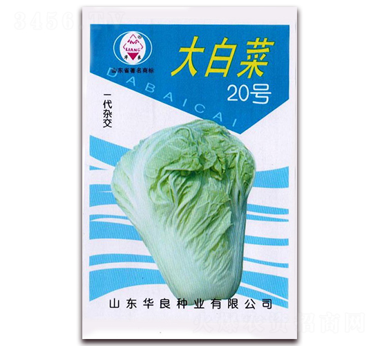 大白菜20號-大白菜種子-華良種業(yè)