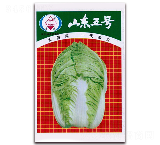山東五號(hào)-大白菜種子-華良種業(yè)