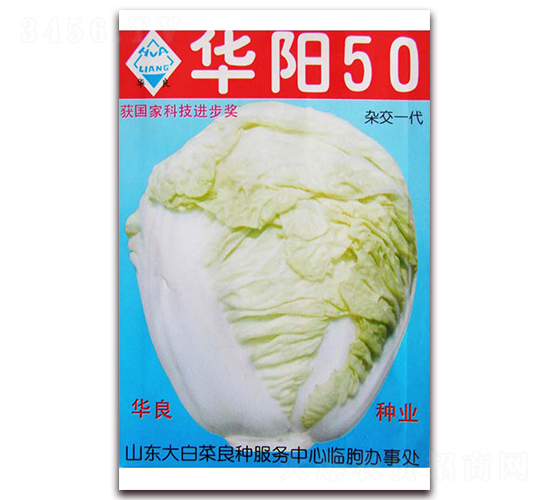 華陽50-大白菜種子-華良種業(yè)