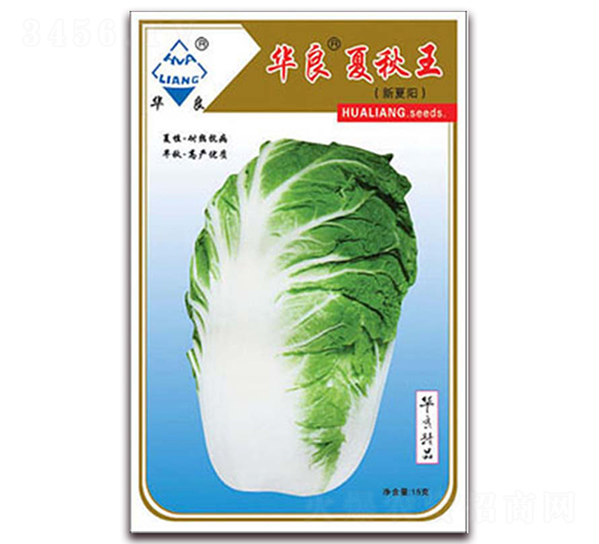 華良夏秋王-大白菜種子-華良種業(yè)