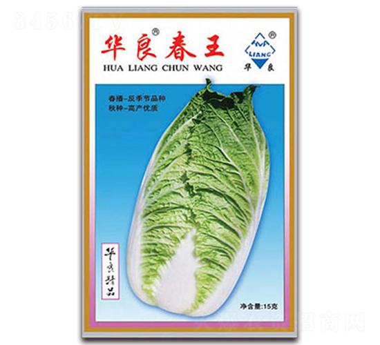華良春王-大白菜種子-華良種業(yè)