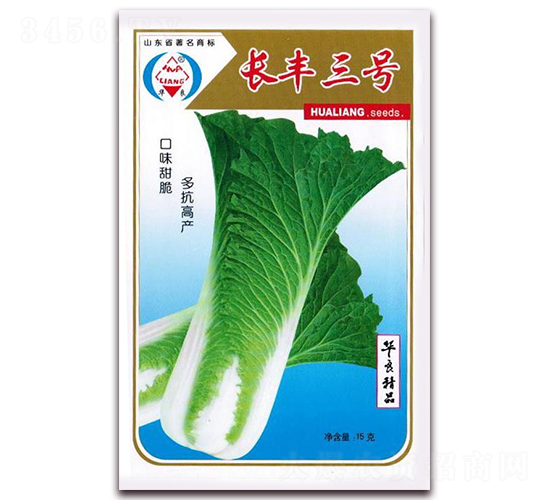 長(zhǎng)豐三號(hào)-大白菜種子-華良種業(yè)