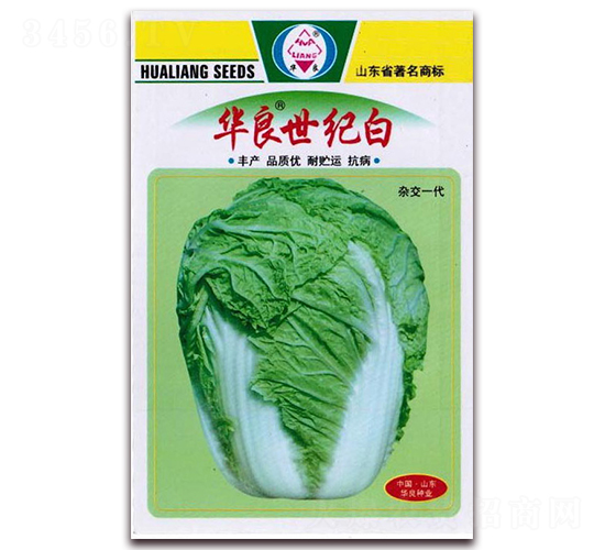 華良世紀白-大白菜種子-華良種業(yè)