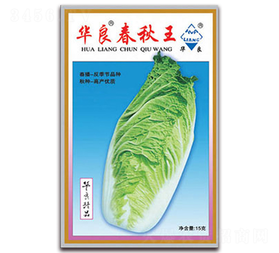 華良春秋王-大白菜種子-華良種業(yè)