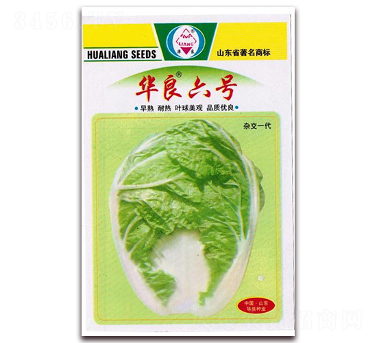 華良六號-大白菜種子-華良種業(yè)