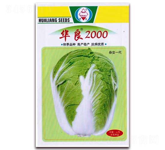 華良2000-大白菜種子-華良種業(yè)