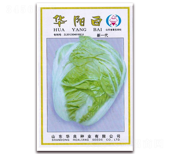 華陽白-大白菜種子-華良種業(yè)