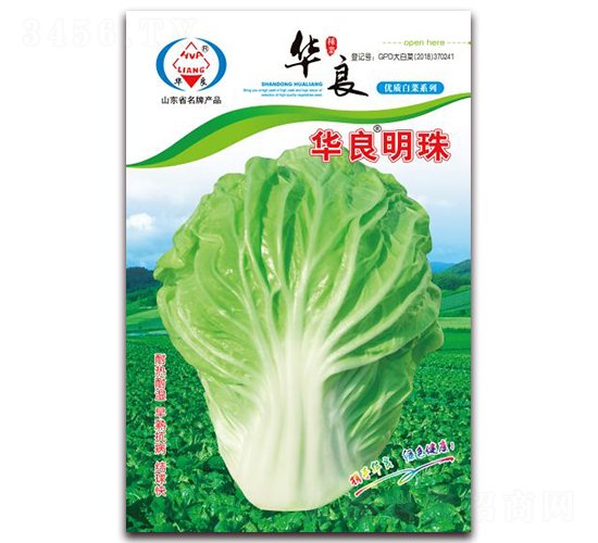 華良明珠-大白菜種子-華良種業(yè)
