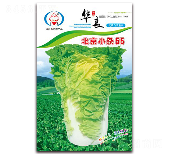 北京小雜55-大白菜種子-華良種業(yè)