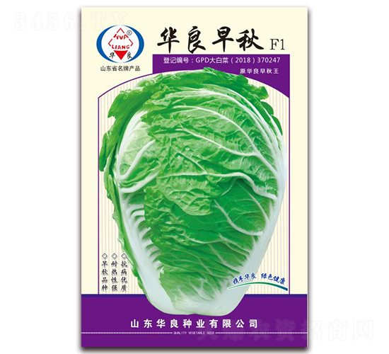 華良早秋-大白菜種子-華良種業(yè)