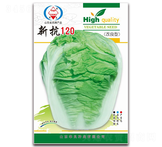 新抗120-大白菜種子-華良種業(yè)