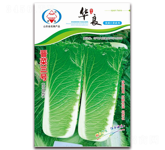 晉菜三號(hào)-大白菜種子-華良種業(yè)