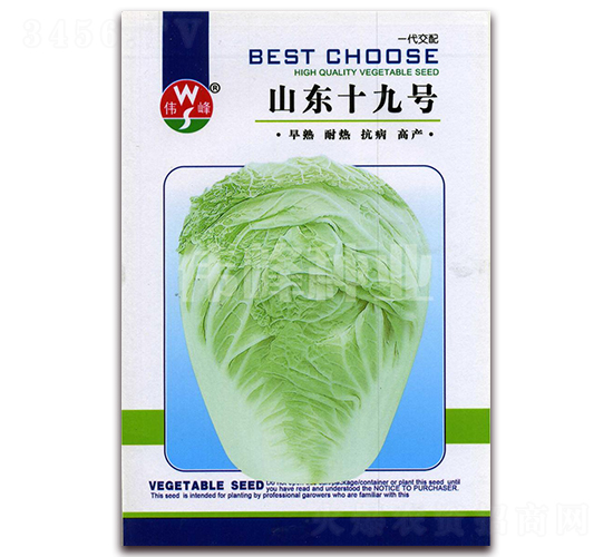 山東十九號-白菜種子-偉峰種業(yè)