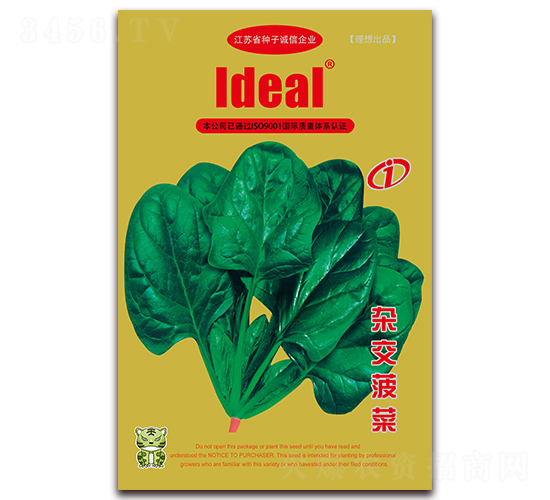 雜交菠菜-菠菜種子-理想農(nóng)業(yè)