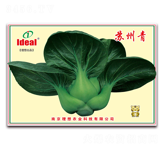 蘇州青-小白菜種子-理想農(nóng)業(yè)