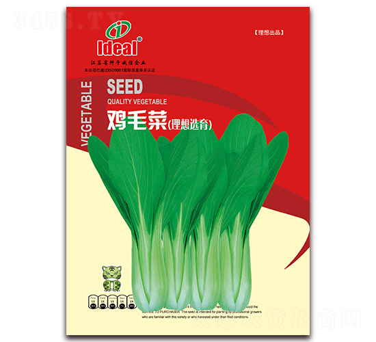 雞毛菜-小白菜種子-理想農(nóng)業(yè)