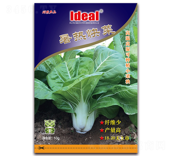 暑熱快菜-小白菜種子-理想農(nóng)業(yè)